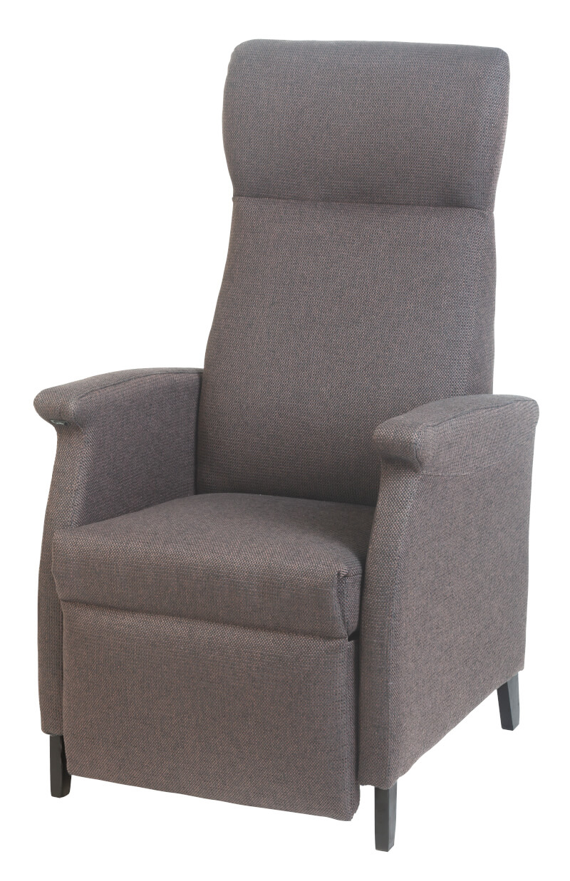 Fitform Wellness- und Seniorensessel 540, grau